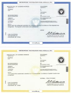 OFA health certification