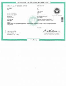 OFA Health Certification