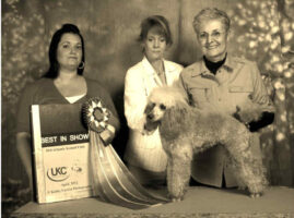 Winning Best in Show